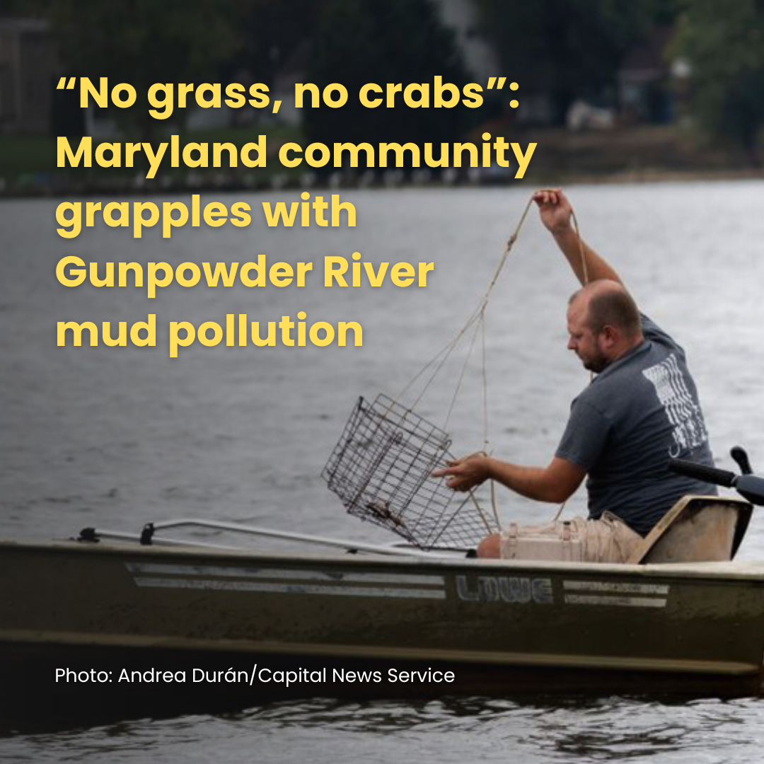 Gunpowder River - Insta