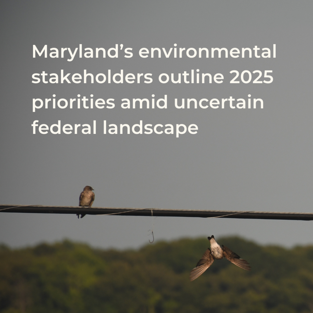 Photo of song birds on a power line with a text overlay: "Maryland's environmental stakeholders outline 2025 priorities amid uncertain federal landscape.