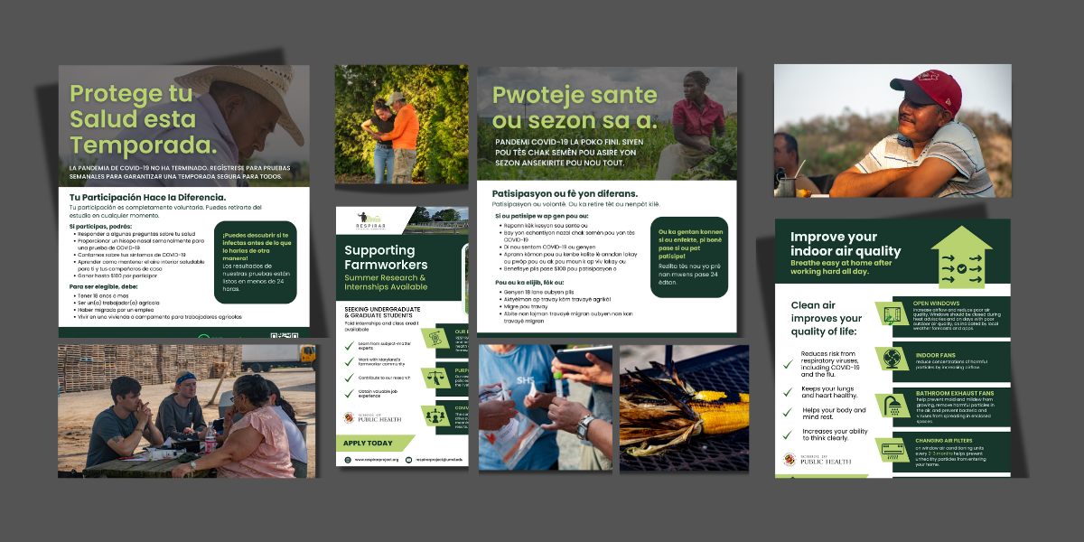 A graphic displays various flyers and photos representing the RESPIRAR project.
