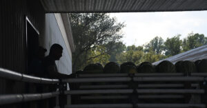 Two farmworkers, on the left, prepare to load watermelons from a tractor, on the right, into the warehouse through a window opening in the building. The photo contains dark shadows to help conceal the farmworkers’ identities.